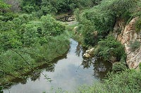 Aravalli Biodiversity Park, Wetland