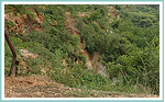 Aravalli Biodiversity Park