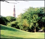 Landscape at Qutab Minar